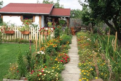 Parte de casa parter cu acces auto zona Cerbului - 13