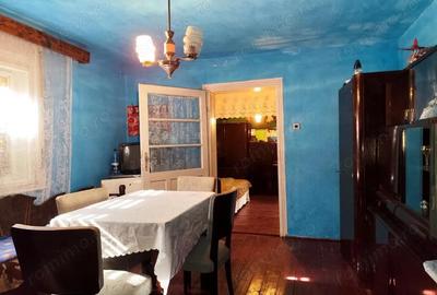 Casă cu 5 camere cu Teren 4700 Mp în Calea Mare - 10