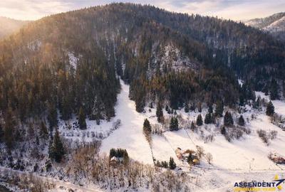 Teren de 7800 mp, în Lunca - 5