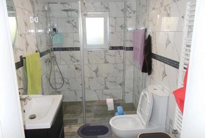 Casă cu Teren 1670 Mp în Sânandrei - 11