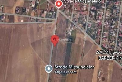 Casa si Teren, Loc Fundulea, Jud. Calarasi - 4