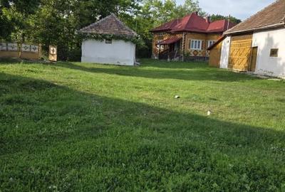 Casă cu 3 camere cu Teren 3600 Mp în Bicaz - 2