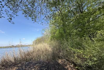 TEREN 7000 MP| DESCHIDERE 40 ML | INTRAVILAN-PADURE | POT 5% | TEREN UNIC | - 2