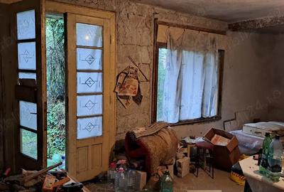 Casă cu 4 camere în Odvoș - 10