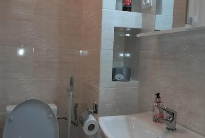 Vinzare garsoniera Dovalii - 8