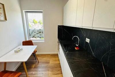 Apartament cu 2 camere decomandat în Gara Mare - 5
