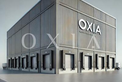 AX1132 Calea Sagului, Platforma Industriala, 7.387 MP - 1