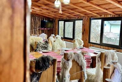 Afacere la cheie - Pensiunea Raiul de pe Râu - Munții Bucegi - 18