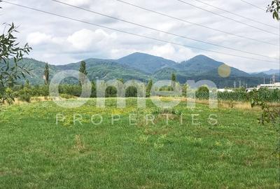 Teren Construcții intravilan de 4824 mp, în Nord - 1