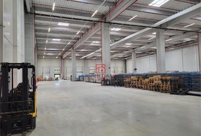 Depozit/hala/spatiu industrial Mogosoaia - Centura, Ilfov - 22