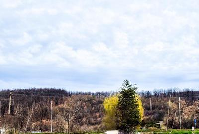 Casa Draganu Arges - 7