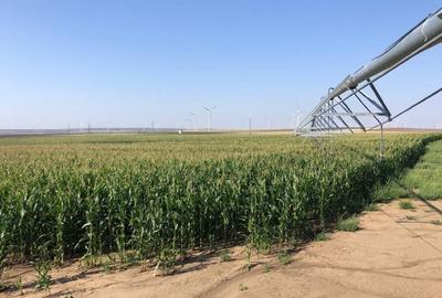 Teren agricol extravilan de 19250000 mp, în Brătianu - 1