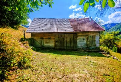 CASA TRADITIONALA, ANEXE si 46.980 mp teren partial INTRAVILAN BULZ - BIHOR - 3