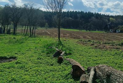 Teren de 500 mp, în Bodești - 8