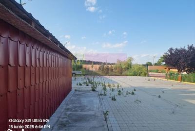 Casă cu 10 camere cu Teren 6000 Mp în Bulbucata - 12