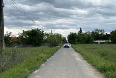 Spațiu comercial, în Bâldana - 4