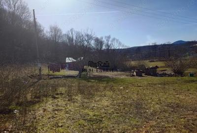 Teren de 3384 mp, în Sud - 5