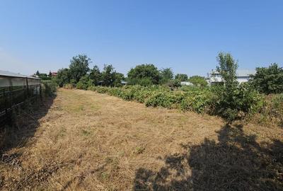 Vanzare teren Clinceni strada Principala - 4