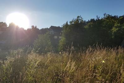 Teren de 4000 mp, în Central - 5