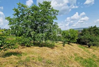 Teren intravilan pentru constructii de vanzare in Zorilor, Cluj Napoca - 1