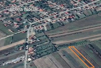 Teren Jiblea Noua Calimanesti - 1