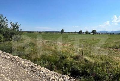 Oportunitate de investitie!! Teren extravilan,4000 mp, Vicov - 4