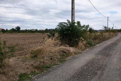 Teren Construcții intravilan de 10000 mp, în Balotești - 5