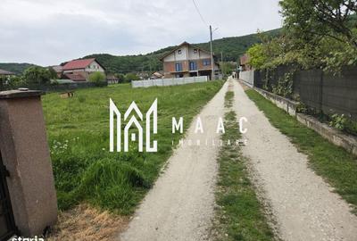 Spațiu comercial, în Bârlogu - 2