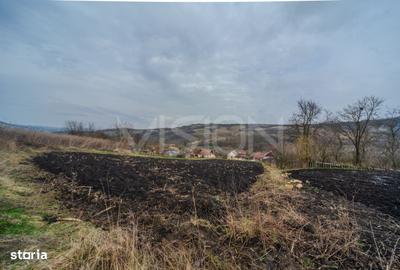 Casă cu Teren 2844 Mp în Căianu - 8