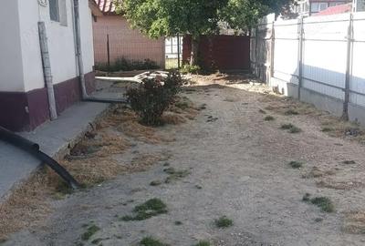 Casă cu 3 camere cu Teren 2476 Mp în Poșta Câlnău - 3
