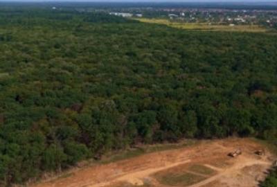 Teren de 459 mp, în Snagov - 3