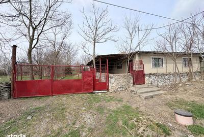 Casă cu 4 camere cu Teren 3747 Mp în Pantelimon - 1