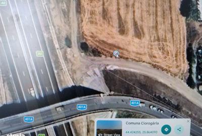 Teren de 8166 mp, în Ciorogârla - 2