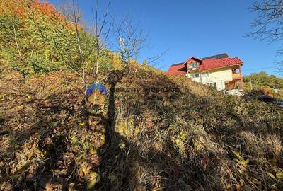 Teren intravilan 1543 mp - zona Darmanesti Teren intravilan 1543 mp - zona Darmanesti - 5