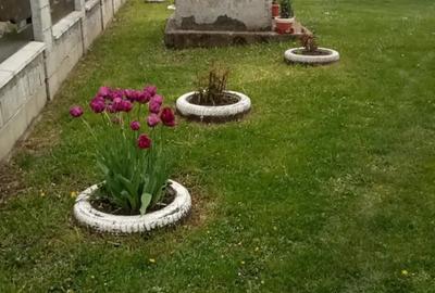Vand casa - 4