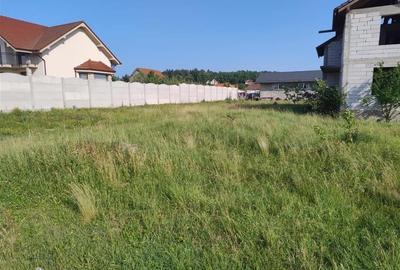 RECO Casa 4 camere, Alparea - 5