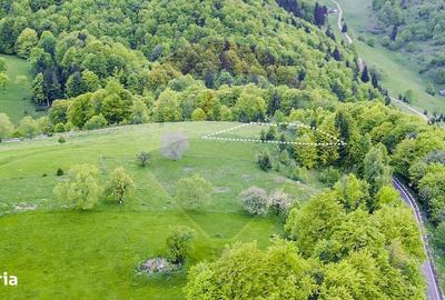 Teren de 2000 mp, în Fundata - 6