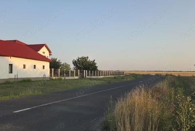 Teren de 1600 mp, în Sacoșu Turcesc - 1