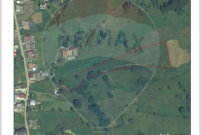 Teren de 6865 mp, în Voroneț - 14