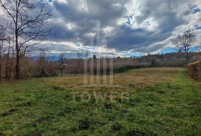 Teren de vanzare in reprezentare exclusiva, situat pe Valea Avrigului! - 3