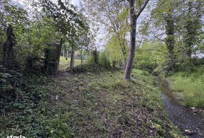 Casă cu 4 camere cu Teren 883 Mp în Târnova - 13