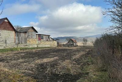 Spațiu comercial, în Șoimeni - 4