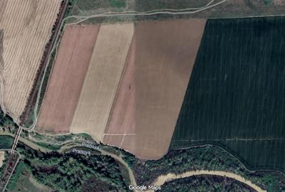 Teren agricol – 90.000 mp, Comuna Puchenii Mari, jud. Prahova - 2