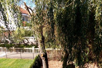 Casă cu 5 camere cu Canalizare în Iancu Nicolae - 14