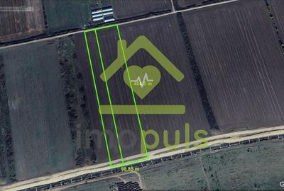 🗺️ Teren extravilan in Ghiroda,  12 euro/1 mp. 🚀 COMISION 0% .✨ - 1