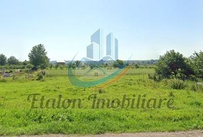 Teren intravilan, 8000mp, Agapia