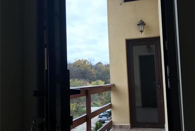 Casă cu 6 camere în Clinceni - 9