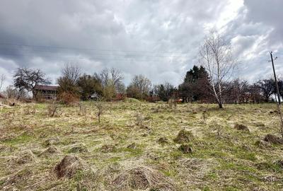 De vanzare teren in Brebu Nou  2877 mp De vanzare teren in Brebu Nou  2877 mp - 4