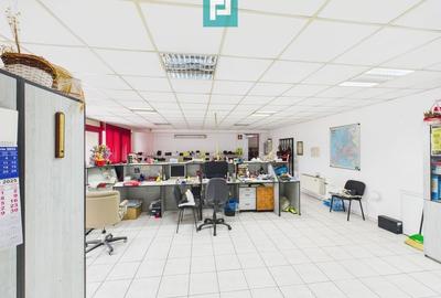 Hală de producție, cu birouri și teren, în Sebiș - 8