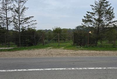 LIVADA  DE VANZARE FOCSANI-DUMBRAVITA  1,8  HA - 23